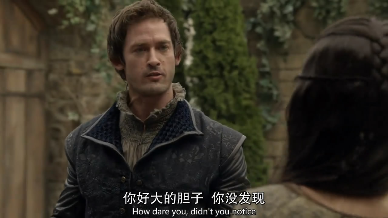 《风中的女王 第四季》全集/reign season 4在线观看