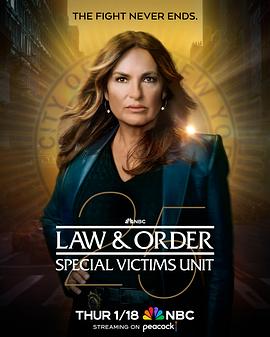 法律与秩序：特殊受害者 第二十五季的海报