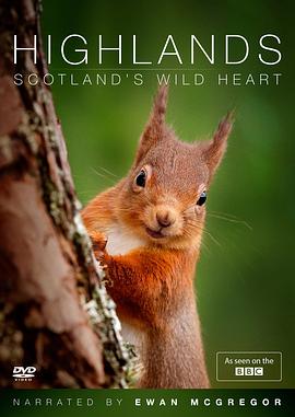 高地：苏格兰狂野之心 第一季的海报