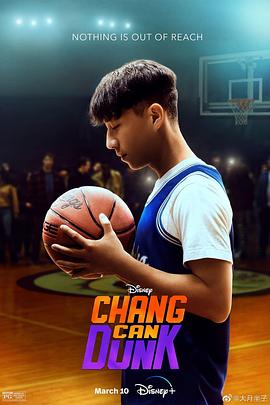 篮球少年张的海报