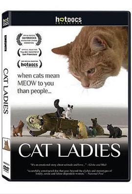 猫女士的海报