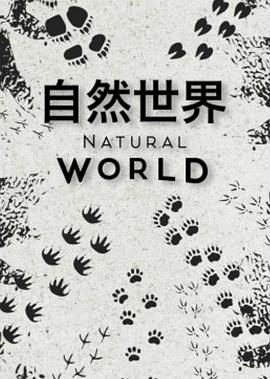 自然世界 第一季的海报