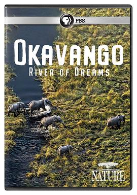 奥卡万戈：梦想之河的海报