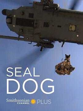 海豹突击犬的海报