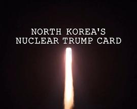 朝鲜核王牌的海报