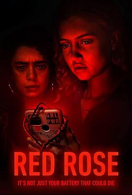 红玫瑰的海报