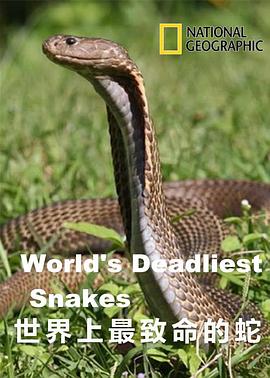 世界上最致命的蛇的海报