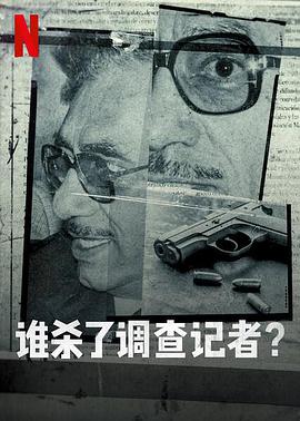 谁杀了调查记者的海报