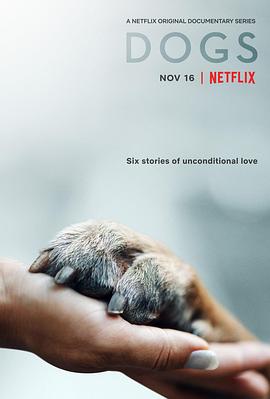 爱犬情深 第一季的海报