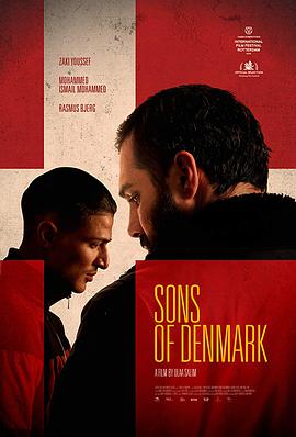 丹麦之子的海报