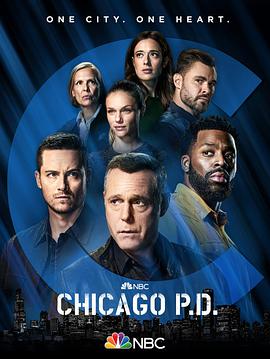 芝加哥警署 第九季的海报