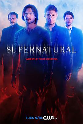 邪恶力量第十季 全集 Supernatural Season 10在线观看 91美剧网