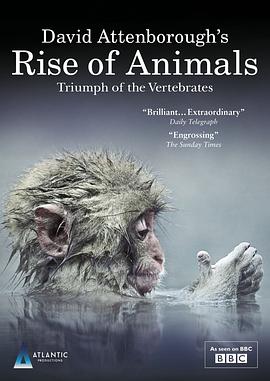 动物的崛起：脊椎动物的胜利的海报