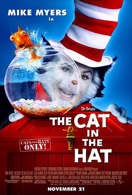 戴帽子的猫的海报