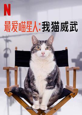 最爱喵星人：我猫威武的海报