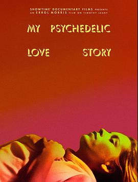 我的迷幻爱情故事的海报