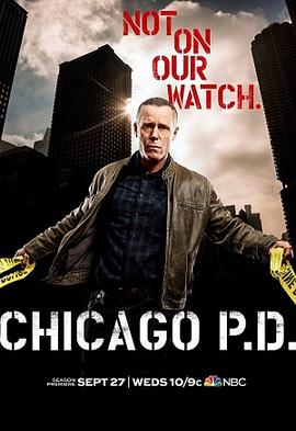 芝加哥警署第五季 全集 Chicago P D Season 5在线观看 91美剧网