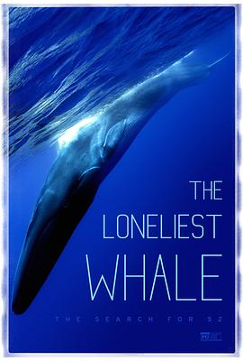 最孤独的鲸：寻找52的海报