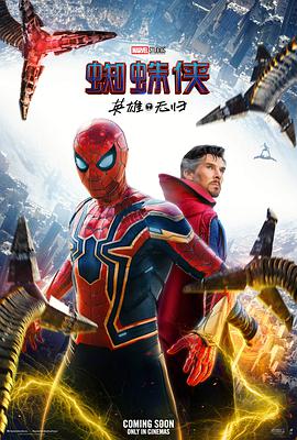 蜘蛛侠：英雄无归的海报