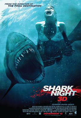 鲨鱼惊魂夜的海报