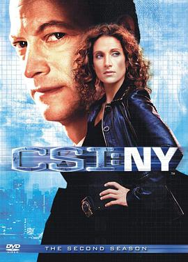 犯罪现场调查：纽约 第二季的海报