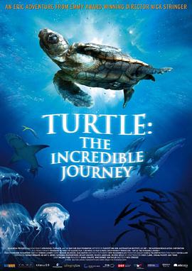 海龟奇妙之旅的海报