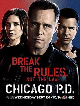 芝加哥警署第二季 全集 Chicago P D Season 2在线观看 91美剧网